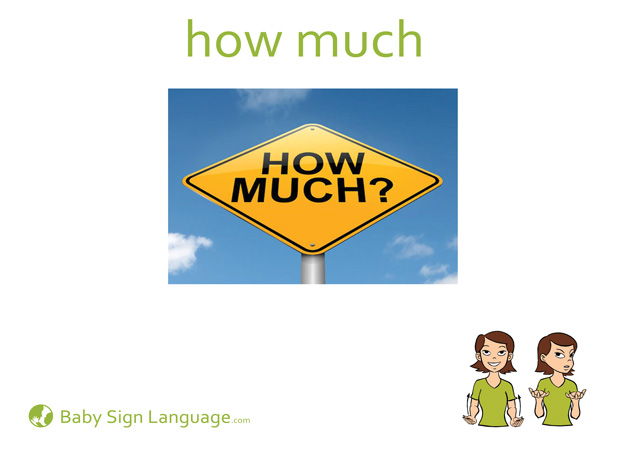 How Much Baby Sign Language Flash card